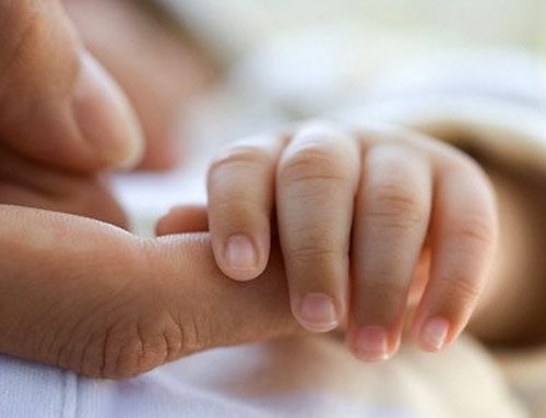 Dịch vụ tư vấn đăng ký đăng ký nhận con nuôi